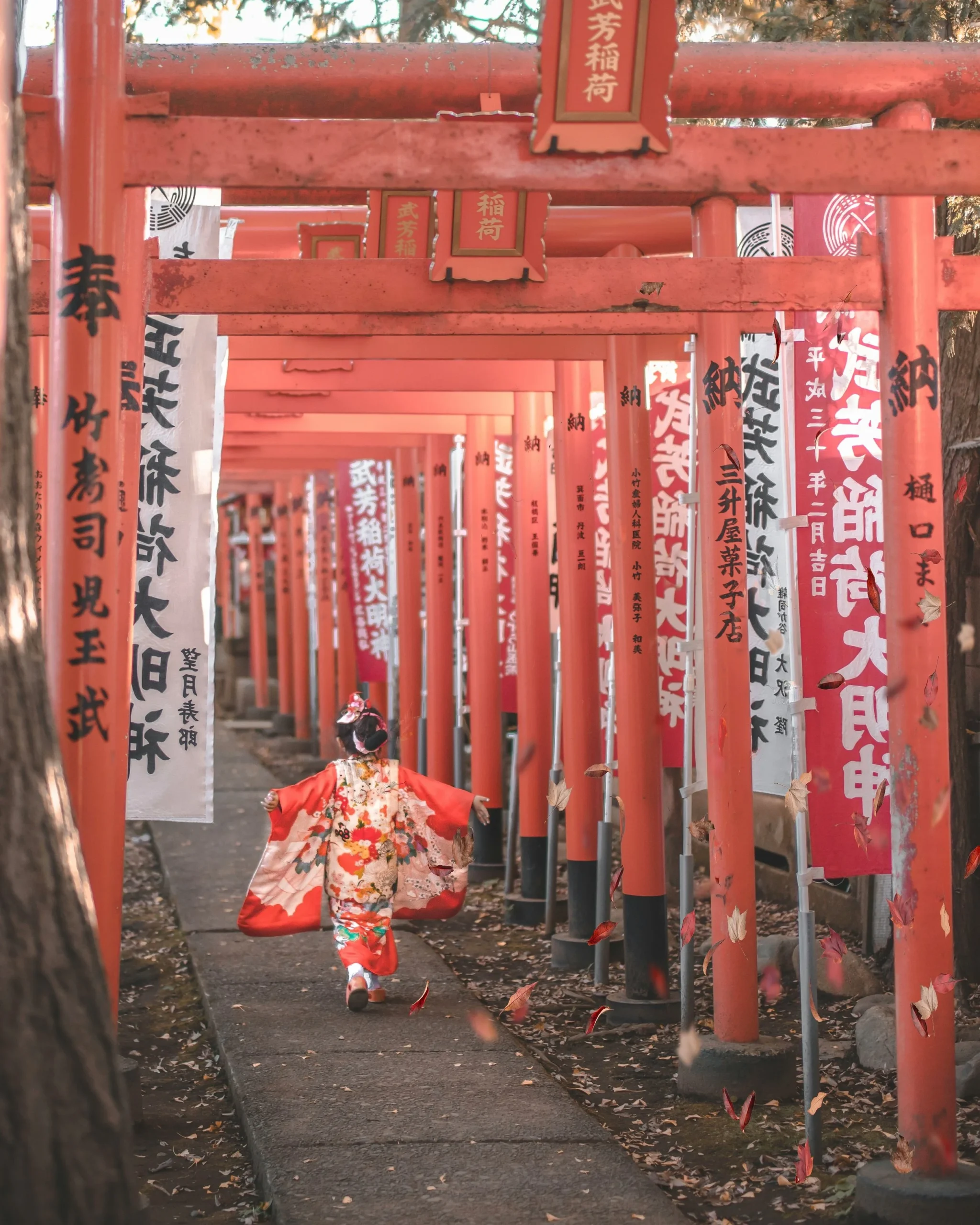 Japan - Effective Press Release Services for Guaranteed Coverage (copia) - Image 3