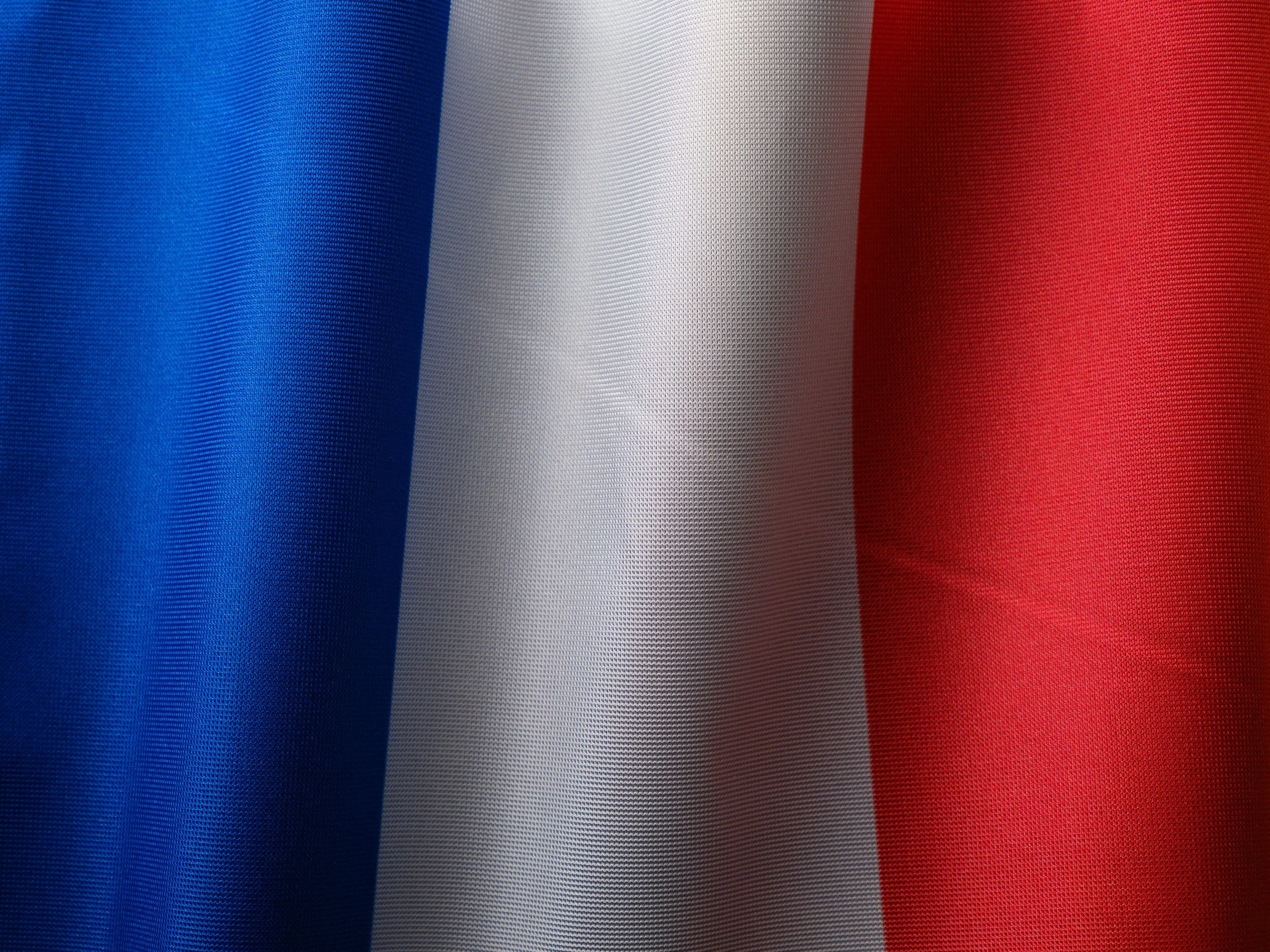 Link Building France
